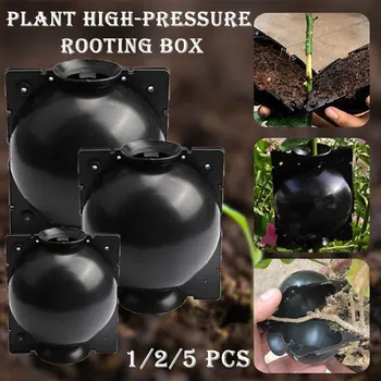 

Plant Rooting Device Plant Rooter Box High Pressure Box Grafting forRoses Trees Fruit Bushes Botany Root Controller Growing Box