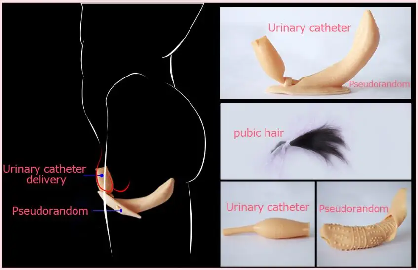 QQ截图20200603175651