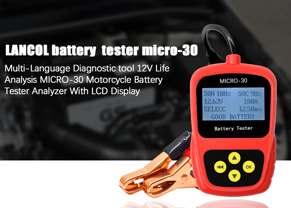 Micro 30