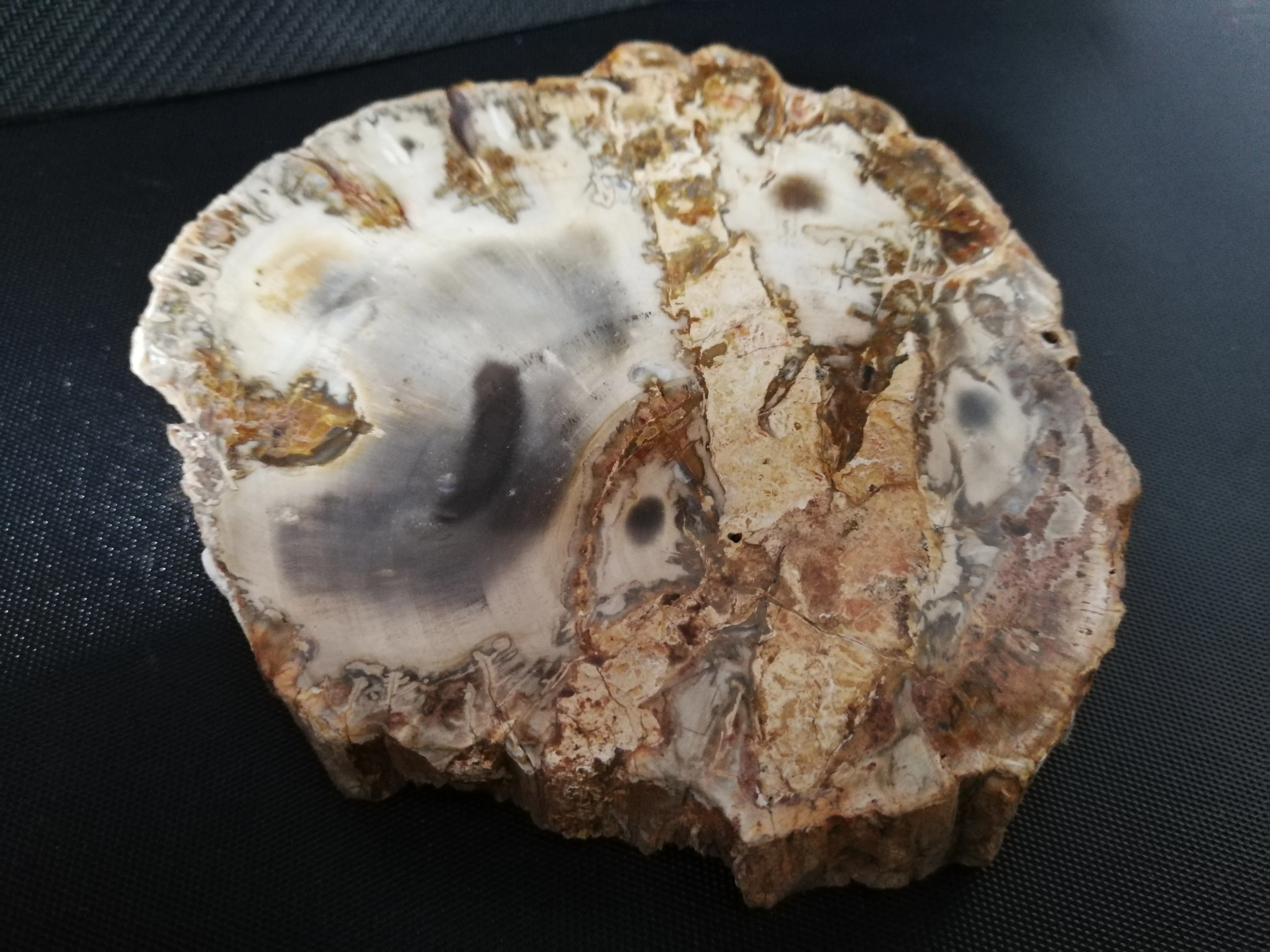 449 3 gNatural fossil деревянные чипы кварцевый кристалл агатовый цветок каменные