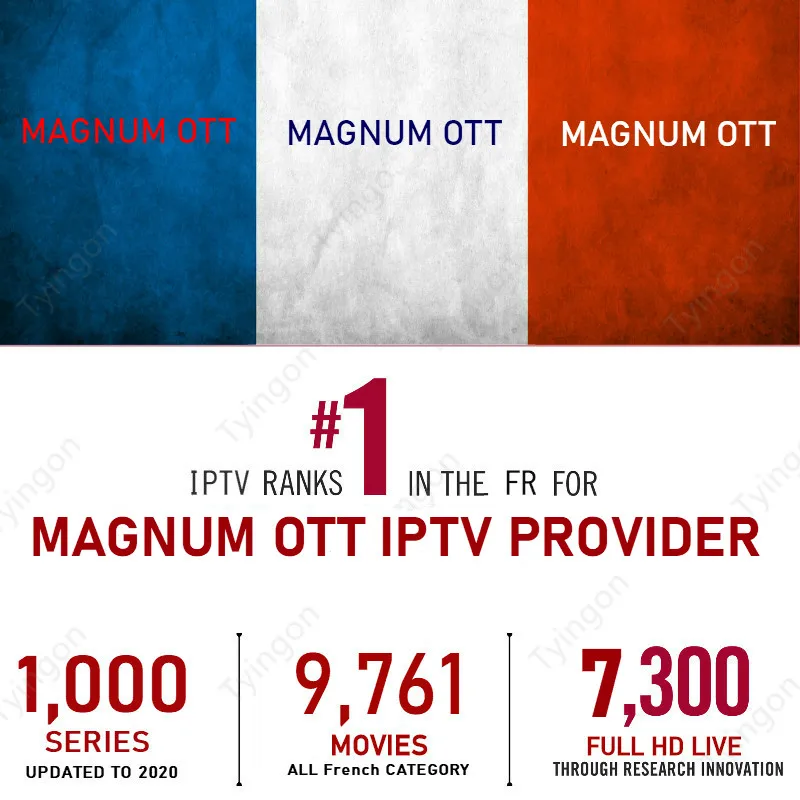 

Magnum OTT IPTV French iptv Belgium IPTV European iptv 8000 Live