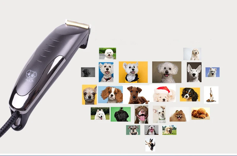 9115964507_1591473854