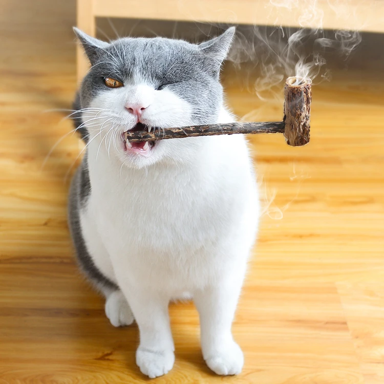 pipe cleaner cat toy