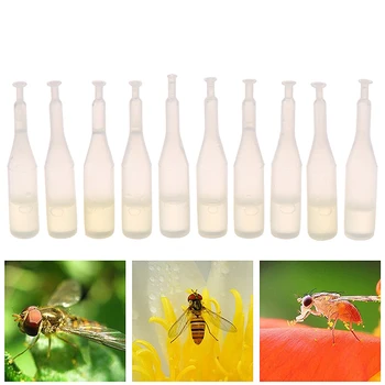 

10Pcs/Set Fruit Fly Attractant Trap Bait Beekeeping Beehive Tool Killer Swarm 2ml/bottle