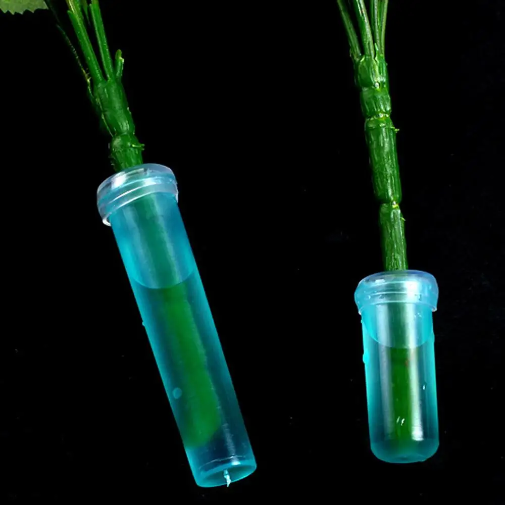 72*18mm Transportation Flower Nutrition Tube Plastic Floral Water Tube With  Cap Fresh Flower Water Container Flower Water Tubes - Artificial Flowers -  AliExpress