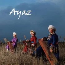 Подлинная комбинация Ayaz: Ayaz music CD