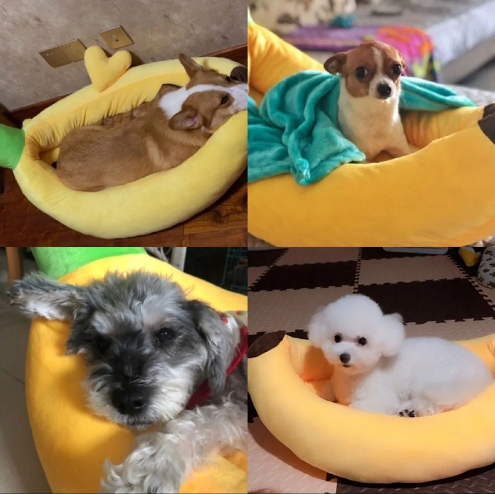 QQ图片20190910141539