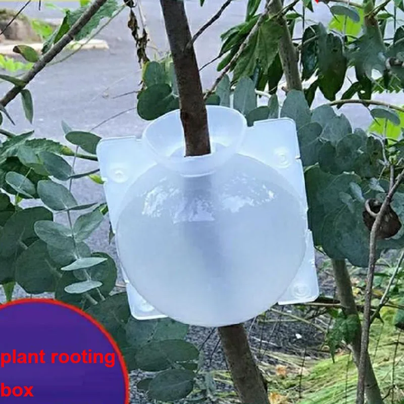 Plant Rooting Ball Case box Reusable Transparent High Pressure Grafting Garden Graft Root Growing Box tree Breeding Container plant rooting box plant rooting pot