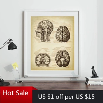 

Brain Medical Print Human Head Anatomy Vintage Illustration Poster Neurology Science Art Canvas Painting Picture Doctor Gift Wal