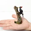 Wild Birds Animals Turkey Macaw Owl Eagles Ostrich Pelican Figurines Toy Animal Action Figure 5