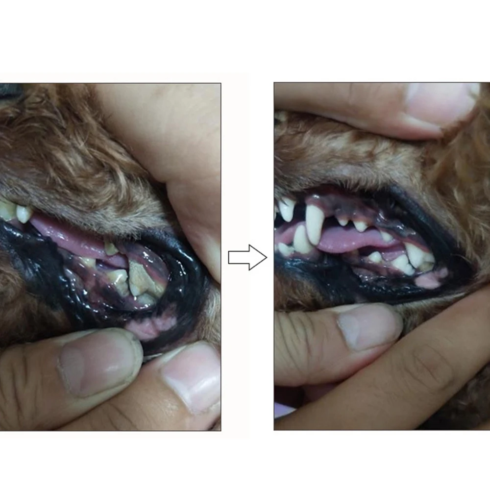 07cae9be-4bef-5e6e-e8e8-9fd2b7d0e71c