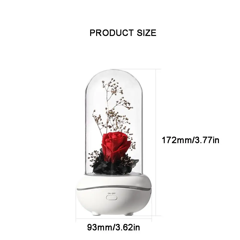 Preserved Flower Rose Lamp Mini USB Rechargeable Colorful Night Light Romantic Valentine's Day Birthday Christmas Gift Decora