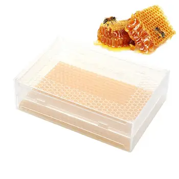 

Automatic Honey Collection Nest Box Beekeeper Beehive Bee Honey Box Honeycomb Honey Box Food Grade Plastic Box Beekeeping Tool