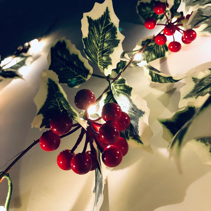 11087257990_171548661