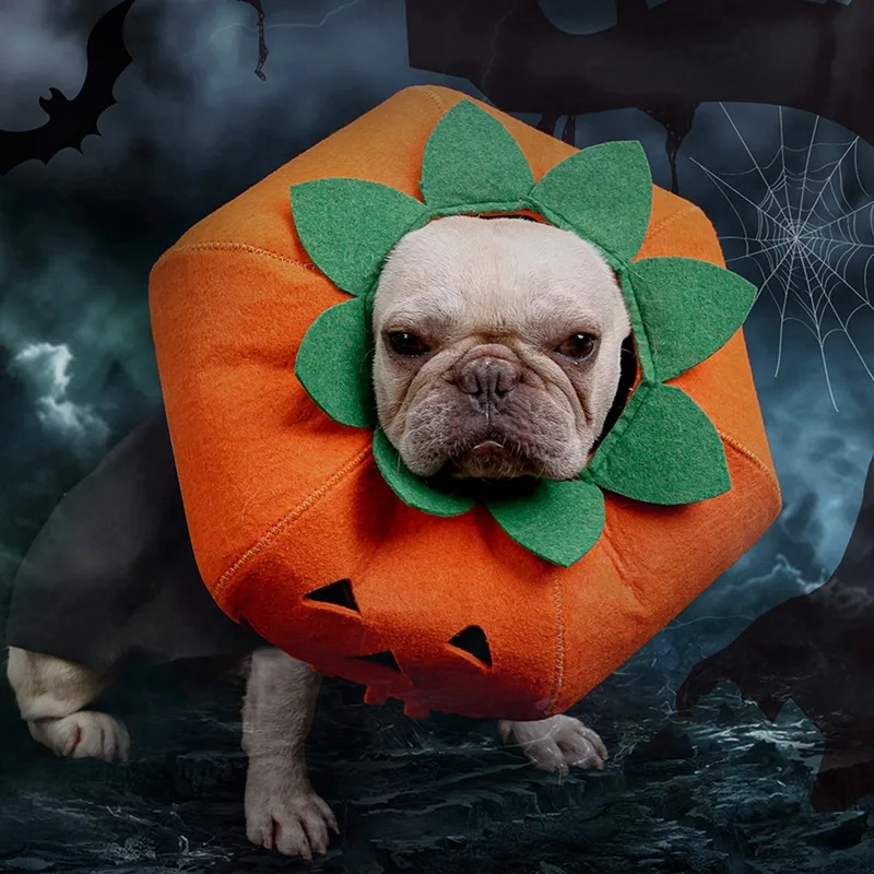 Cute Halloween Pumpkin collar For Small Cat And Dog Dress Up Multifunctional Neckband Soft Puppy Kitten Recovery Wound Collar | Дом и сад