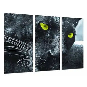 

Jaguar, Panther Wild Animal, Feline, photo print on wood, modern picture decorative 26685