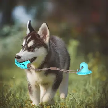 

Pet Dog Toys Silicon Suction Cup Tug dog toy Dogs Push Ball Toy Pet Tooth Cleaning Dog Toothbrush for Puppy large Biting Toy