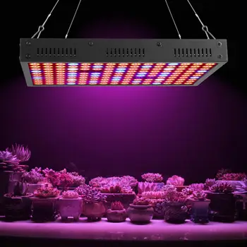 

Plant Grow Light 1200W Large Power LED Plant Lamp Sunlight Fill Light Full Spectrum for Greenhouse AC110-240V
