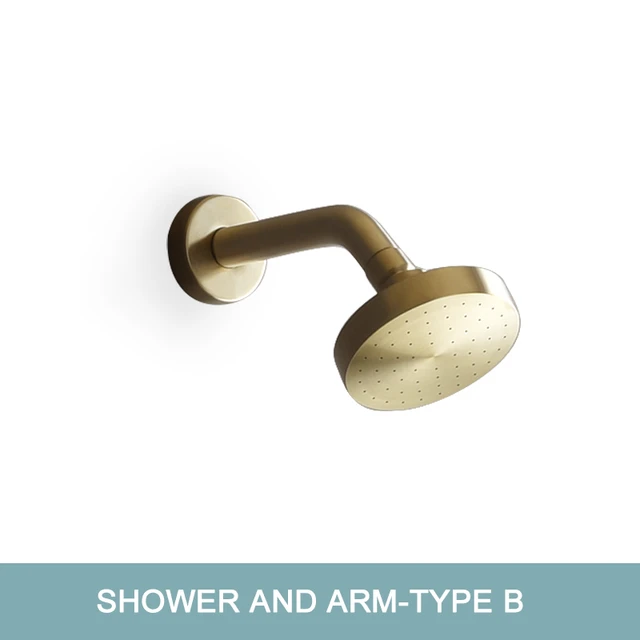SS Shower Head B
