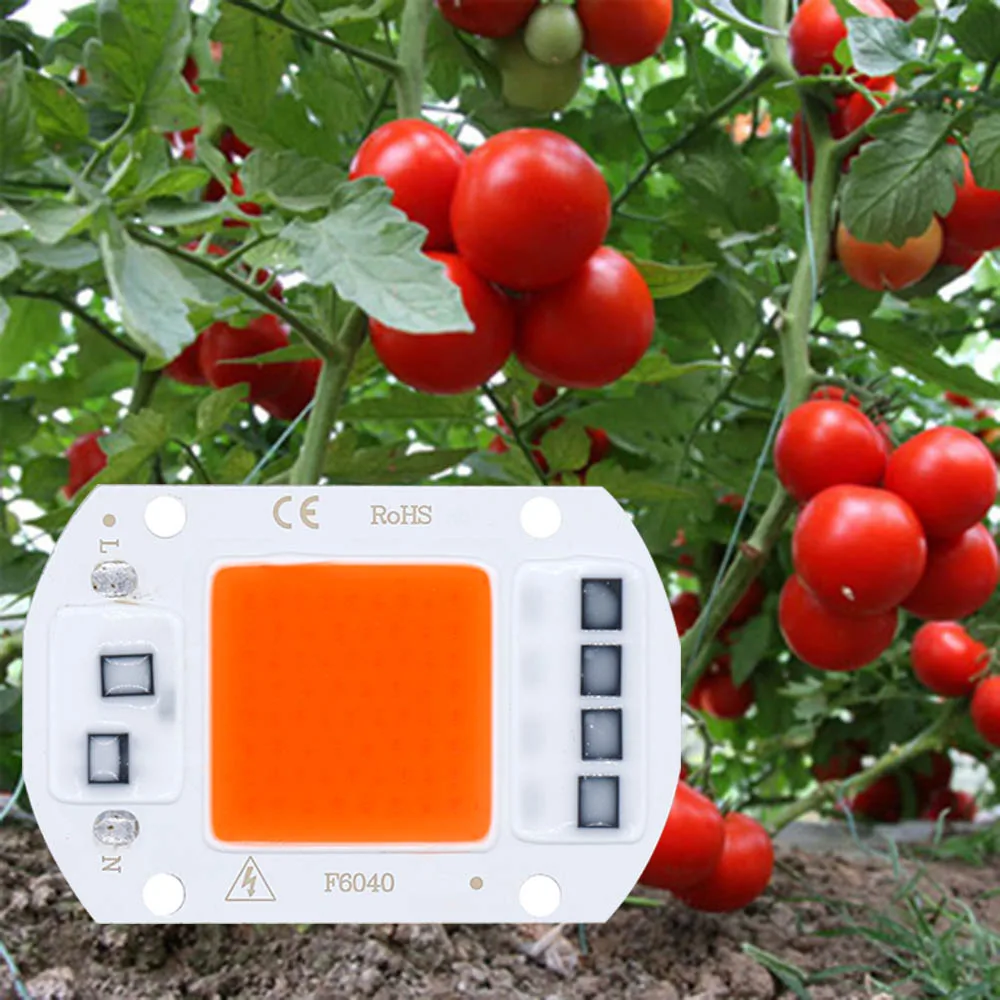 LED COB 전구 AC110V/AC220V 5W 10W 20W 30W 50W 전체 스펙트럼 380-840NM 야채 및 꽃 채우기 빛 램프에 대 한 식물 빛을 성장
