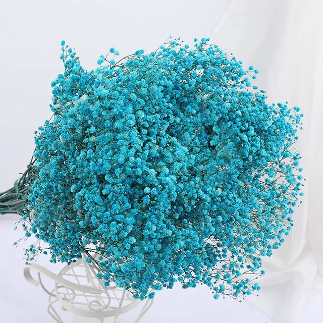 Natural Fresh Dried Preserved Flowers Gypsophila Paniculata,Baby's Breath Flower Bouquets Gift for Wedding Decoration,Valentines Tiffany Blue