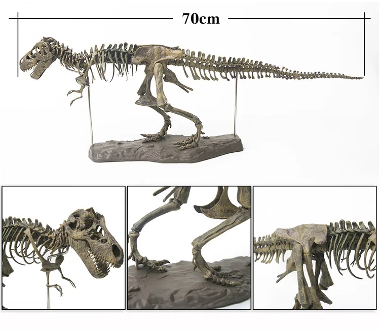 

Tyrannosaurus Rex Skeleton Dinosaur PVC T Rex Animal Model Toys Collector Super Decoration