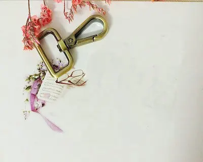 bronze 10pcs Diy детали для сумок аксессуары сумка ремень крюк пряжка D кольцо внутренний диаметр 2,5 см золото серебро бронза - Цвет: bronze 10pcs