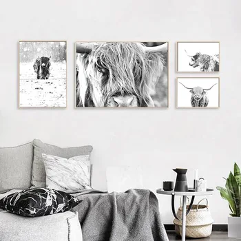 

Black White Canvas Painting Highland Cow Animal Photography Poster Nordic Print Modern Wall Art Picture Living Room Decoration