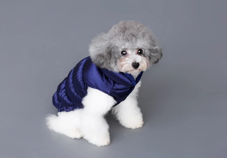 Pet Clothing Dog Cat Clothes Warm Jacket For Puppy Kitty Fashion Winter Down Coat Apparel Chihuahua Costume Products
