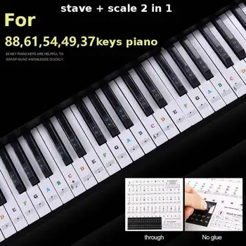 

Transparent Piano Keyboard Sticker 54/61 Key Electronic Keyboard Piano Sticker 88 Key Piano Stave Note Sticker for White Keys