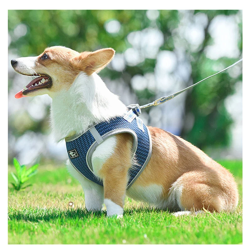

Dog Harness with Leash Cat Dog Collar Adjustable Vest Walking Soft Breathable Collar Pet Accessories for Small Medium Large Dogs