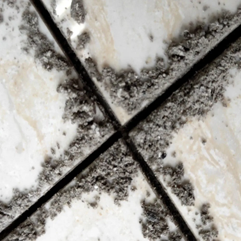 O1CN01Rt1zIW1jPp1AnQGla_!!2988774541