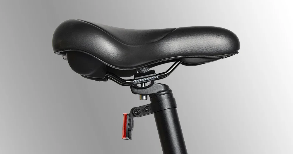 FIIDO D2 складной электрический велосипед три режима езды ebike 250 Вт двигатель 25 км/ч 25-40 км Диапазон e велосипед 16 дюймов покрышка электрического велосипеда