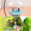 1 Bag Colorful Quartz Sand Miniature Tank Aquarium Bonsai Pot Fairy Garden Decor table building landscape outdoor scene 2