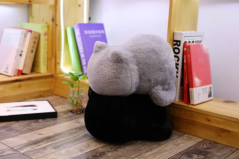 Kawaii Плюшевые игрушки для кошек, укомплектованные милыми тенями, куклы для кошек, детские подарочные куклы, милые игрушечные животные, 3 цвета, украшение для дома, мягкие подушки