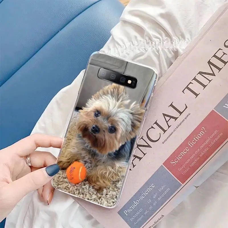 Yorkshire Terrier dog cute Phone Case For Samsung Galaxy S10 9 8 7 Plus S10E case for xiaomi