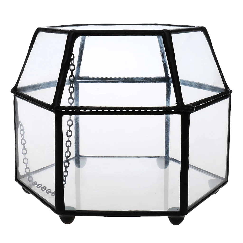 Glass Succulent Terrarium Box Air Plant Fern Moss Display Case Indoor Outdoor | Дом и сад