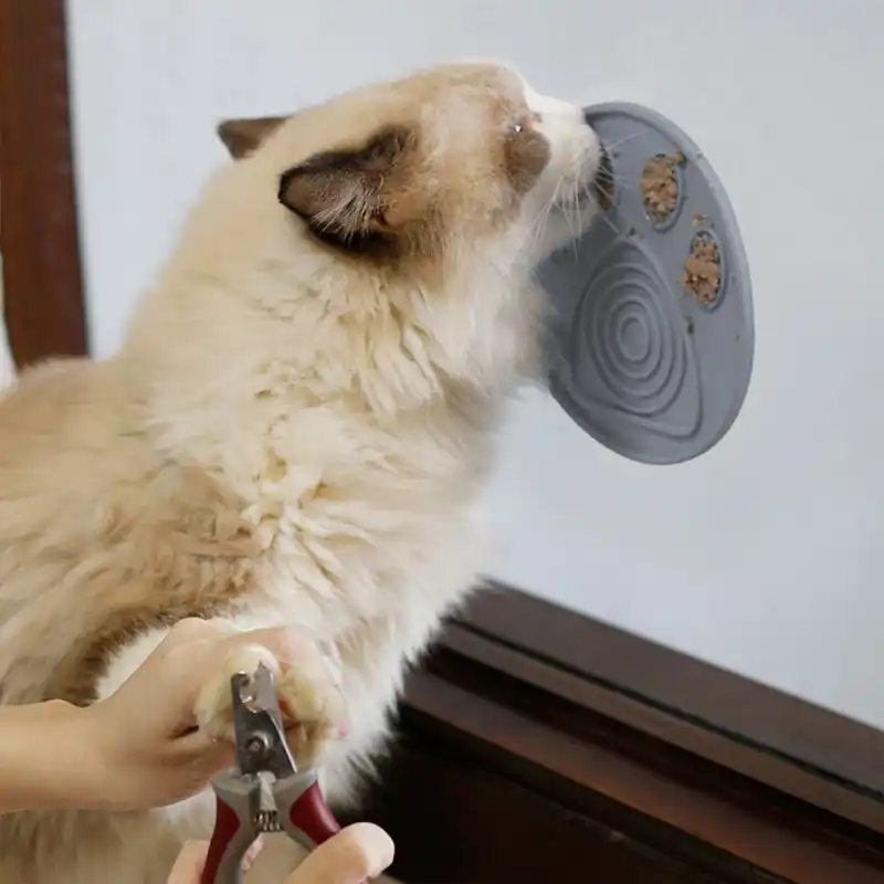 suction cup cat bowl