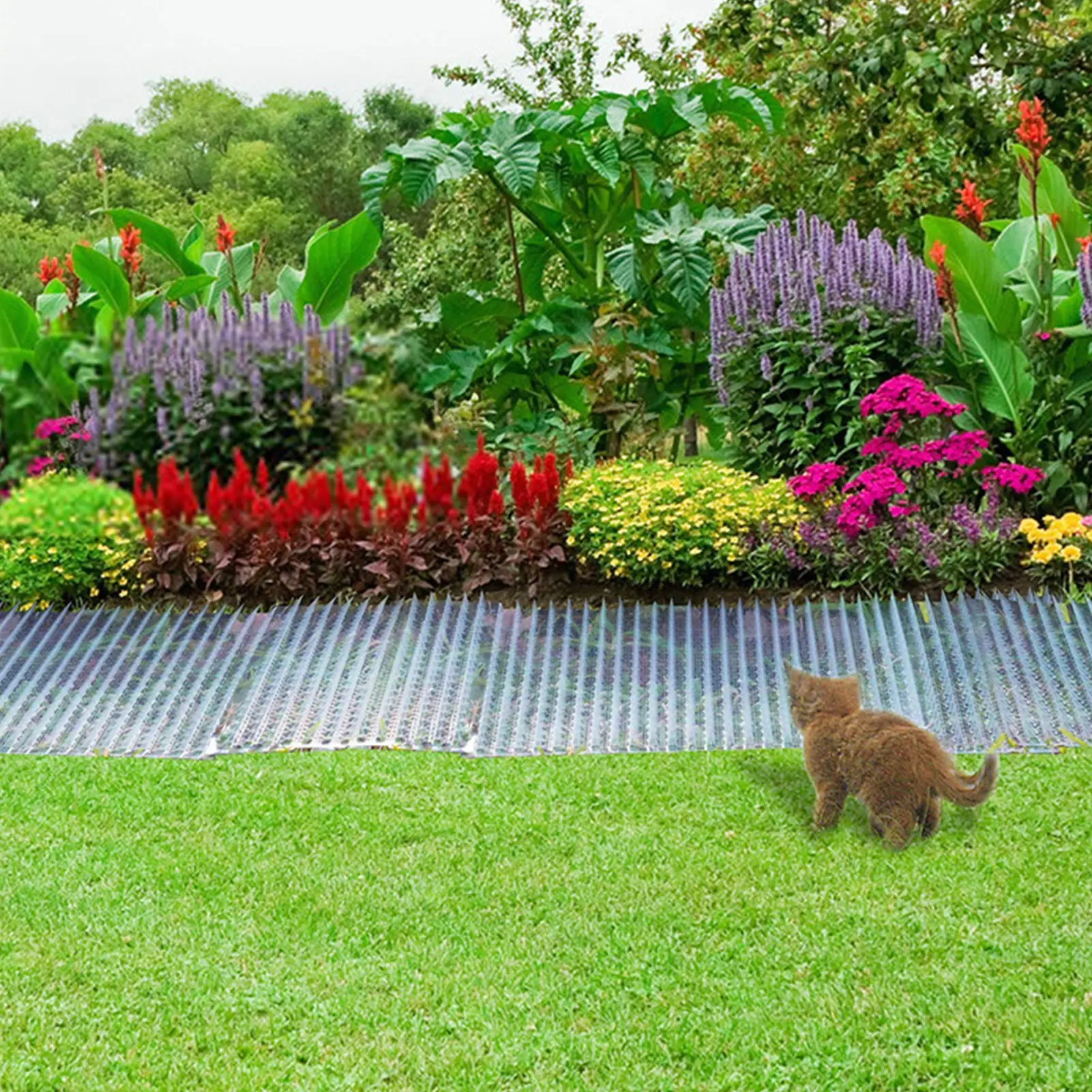 6PCS Garden Cat Scat Mats Cats Net Anti-Cat Dogs Repel-lent Mat Prickle Strips Keep Cats Away Safe Plastic Spike Thorn