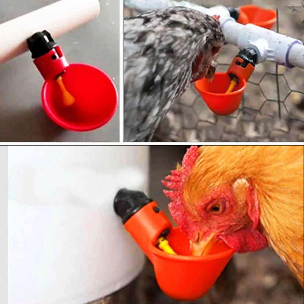 20 Pcs Poultry Drinking Cups Chicken Bird Auto Drink Quail Water Bowl
