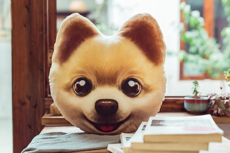 3D моделирование плюшевый Подушка с изображением собак, милая собака поюшевый корги мягкая подушка, детская игрушка, Диван Подушка, украшение дома