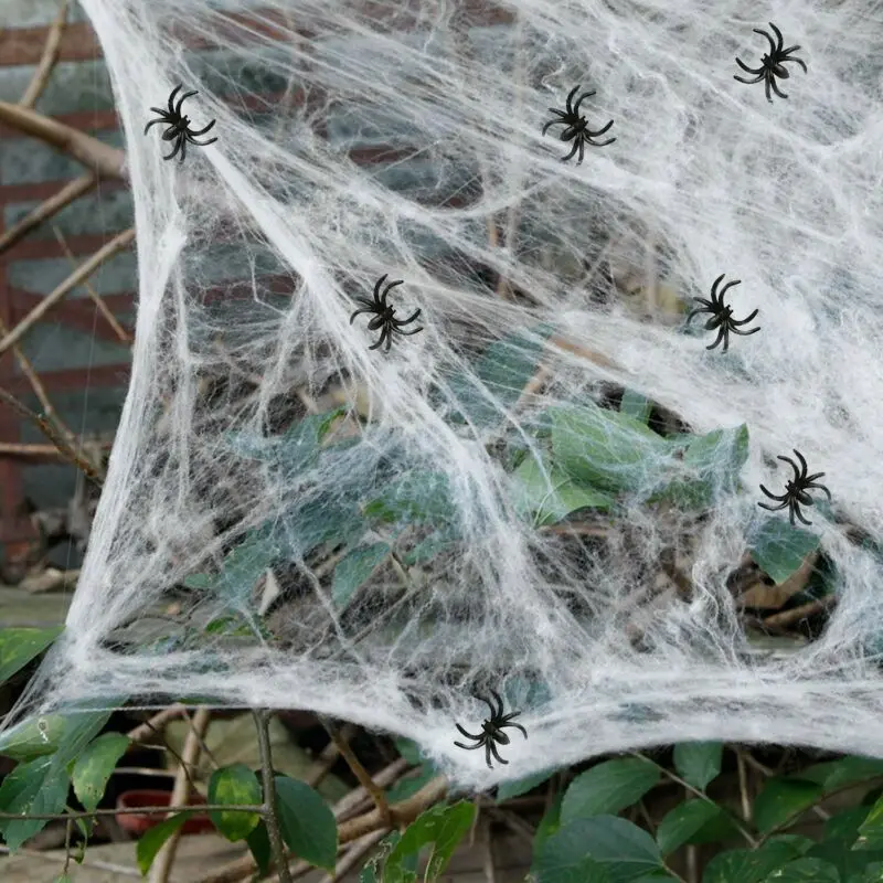 bag of fake spiders