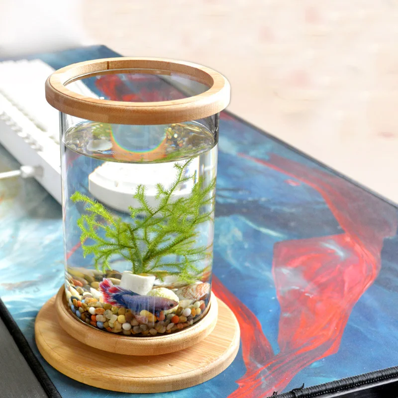 360 Degree Rotating Glass Betta Fish Tank Bamboo Base Mini Fish Tank  Decoration Rotate Fish Bowl Aquarium Accessories