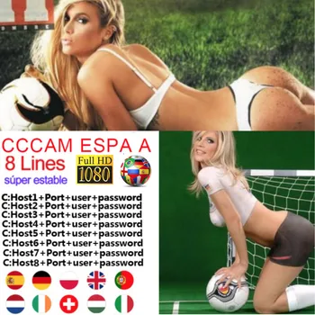 

satellite Cccam espa a osccam HD cline stable 8 Line match TV spain 1 year server Europe Portugal Poland Italia for receiver