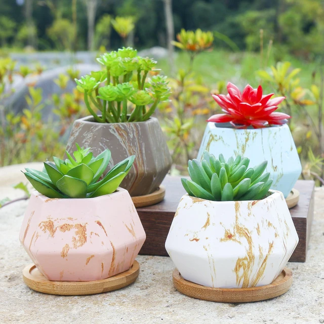 Good Quality Flower Planter Vases Mini Marble Ceramic Polka Dots Flower Pot  Plants Home Office Decor Garden Supplies - Flower Pots & Planters -  AliExpress