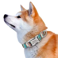 Boho Print Dog Collar & Leash Set