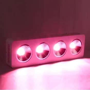 

800W Full Spectrum Led Grow Lights with COB reflector for Greenhouse Hydroponic indoor Medical plants growth grow tent