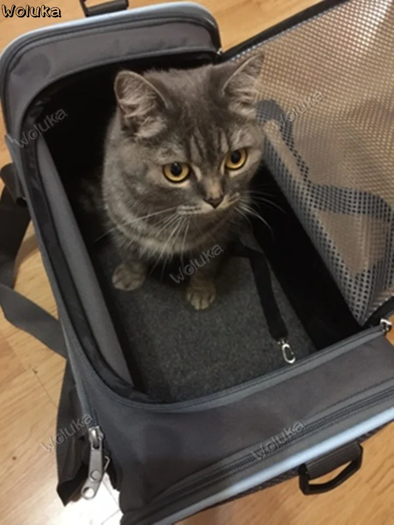 Pet cat задняя упаковка клетка для кошек Портативная сумка для домашних животных собака кошка рюкзак CD05 Q03