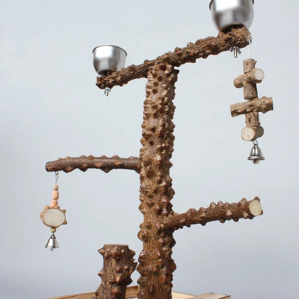 TB2mE_CqpXXXXXiXXXXXXXXXXXX_!!56204072