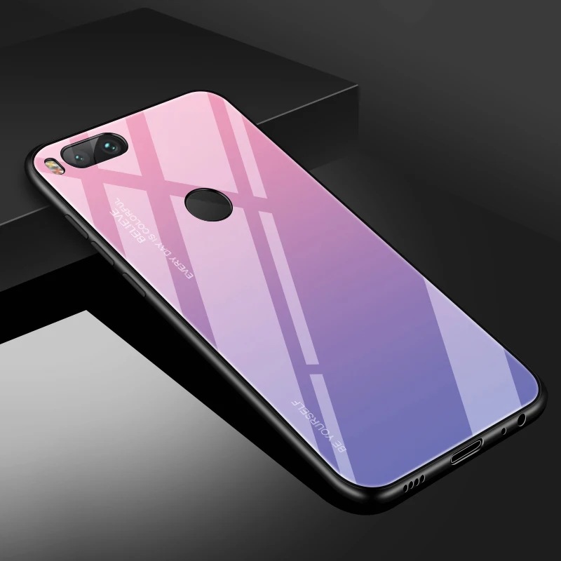Gradient Tempered Glass case (4)